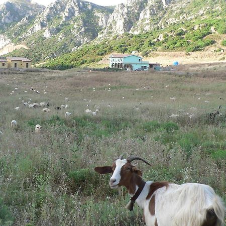 Agriturismo Sa Rocca Iglesias Eksteriør billede