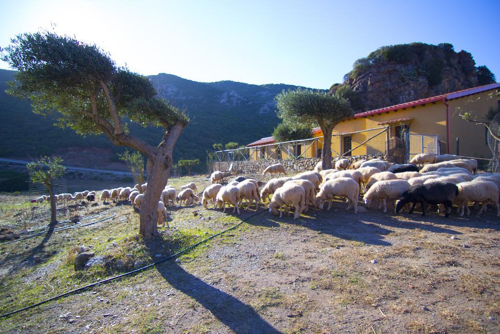 Agriturismo Sa Rocca Iglesias Eksteriør billede
